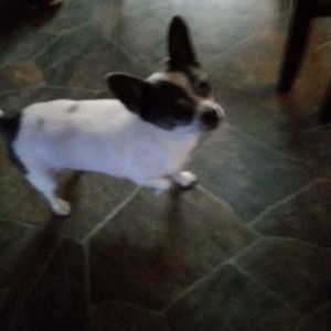 Meet your Posher, Louise